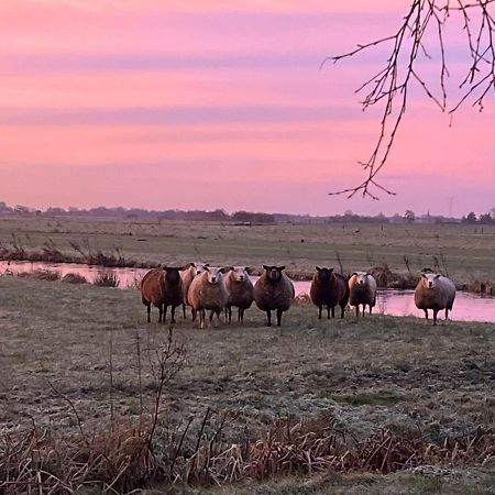 B&B De Beijersche Stee , Logies in de Wagenschuur Stolwijk Buitenkant foto