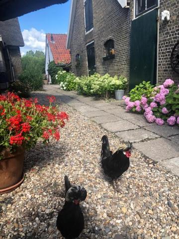 B&B De Beijersche Stee , Logies in de Wagenschuur Stolwijk Buitenkant foto