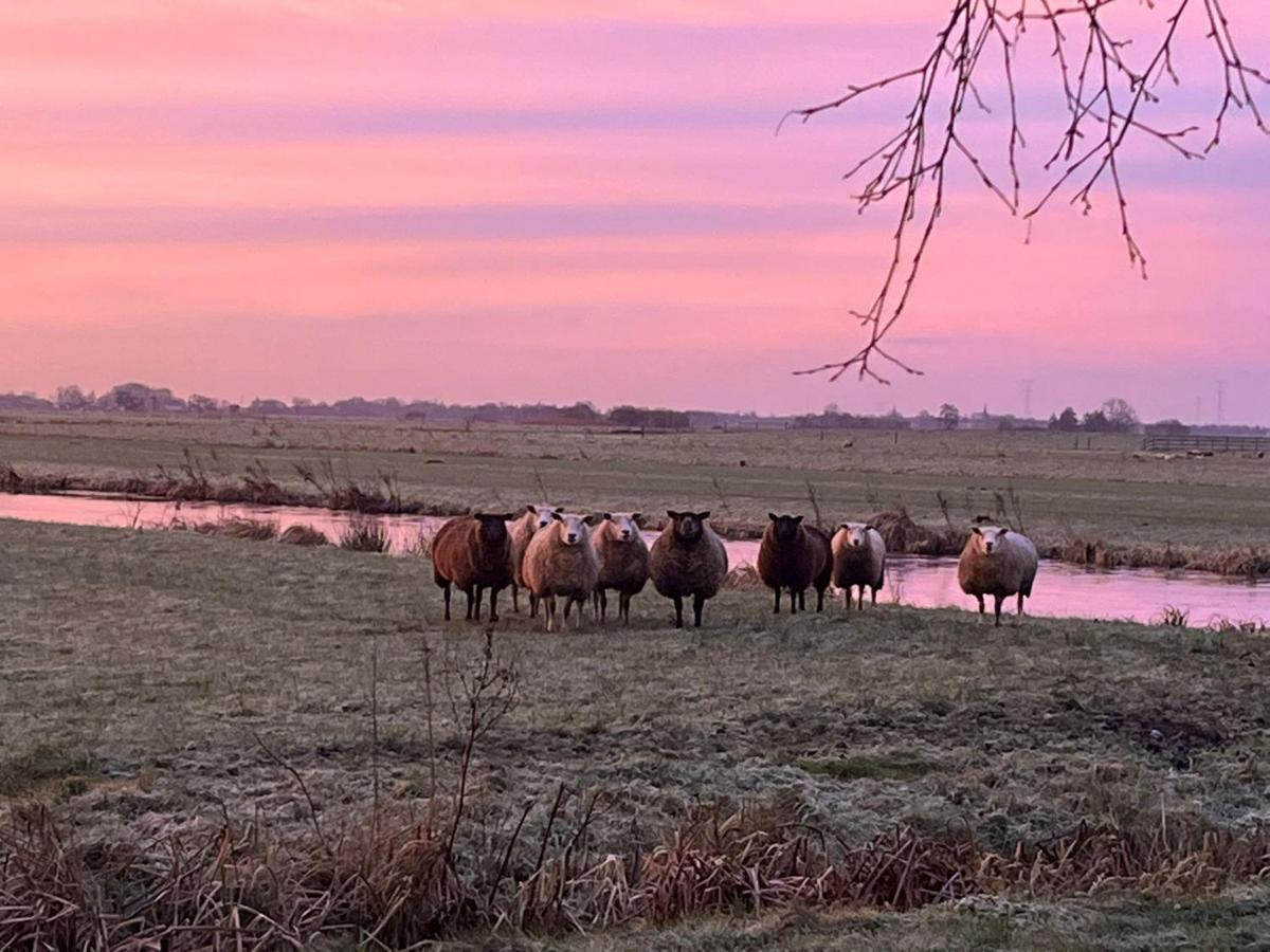 B&B De Beijersche Stee , Logies in de Wagenschuur Stolwijk Buitenkant foto